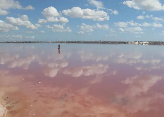 公寓 Punta Prima Fantazy01 托雷维耶哈